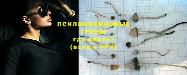 каннабис Бородино
