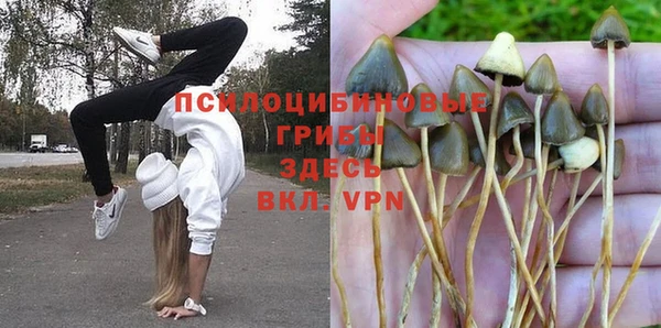 каннабис Бородино