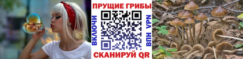 Псилоцибиновые грибы прущие грибы  Семёнов 